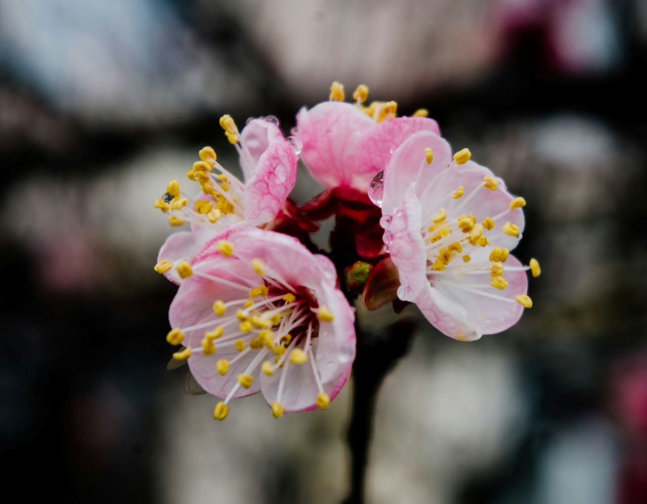 dagmara dombrovska q1 mX9wAEFA unsplash