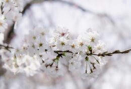 ĐỪNG ĐỂ ĐẾN NGÀY MAI KHI AI ĐÓ CẦN ĐẾN  SỰ GIÚP ĐỠ HÔM NAY…
