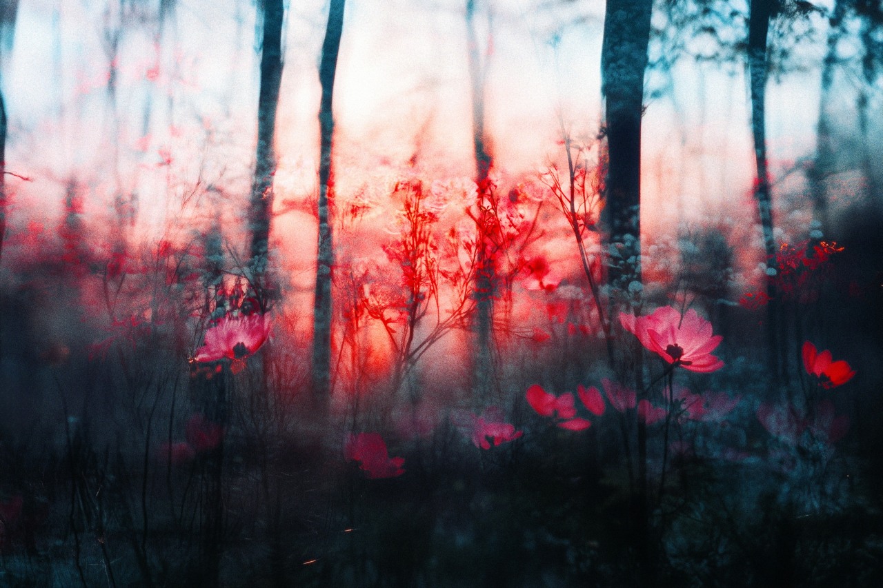 egor litvinov ORuOta U85A unsplash