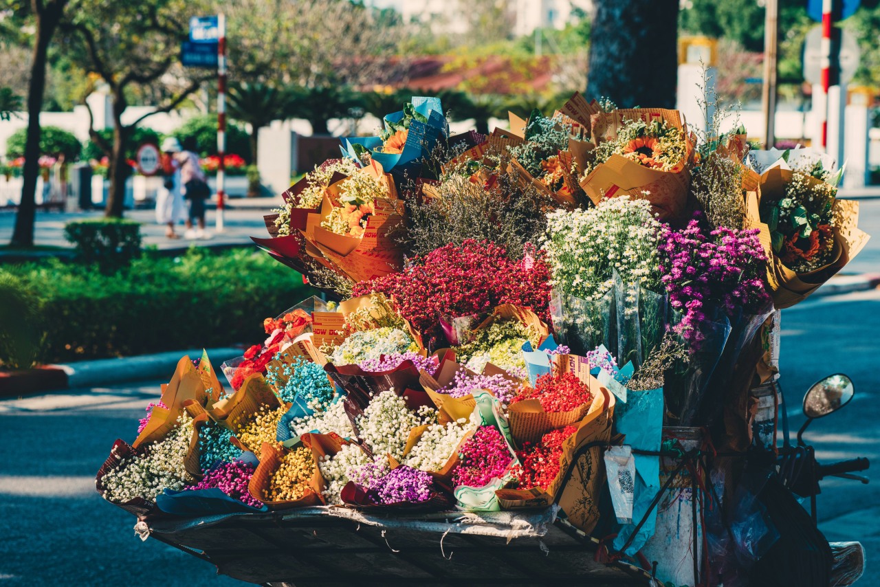 hieu do quang wgWF5bIusvA unsplash