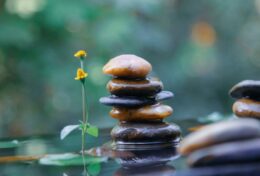 BẤT CỨ ĐIỀU GÌ THIẾU QUY TRÌNH CŨNG THIẾU TƯƠNG LAI