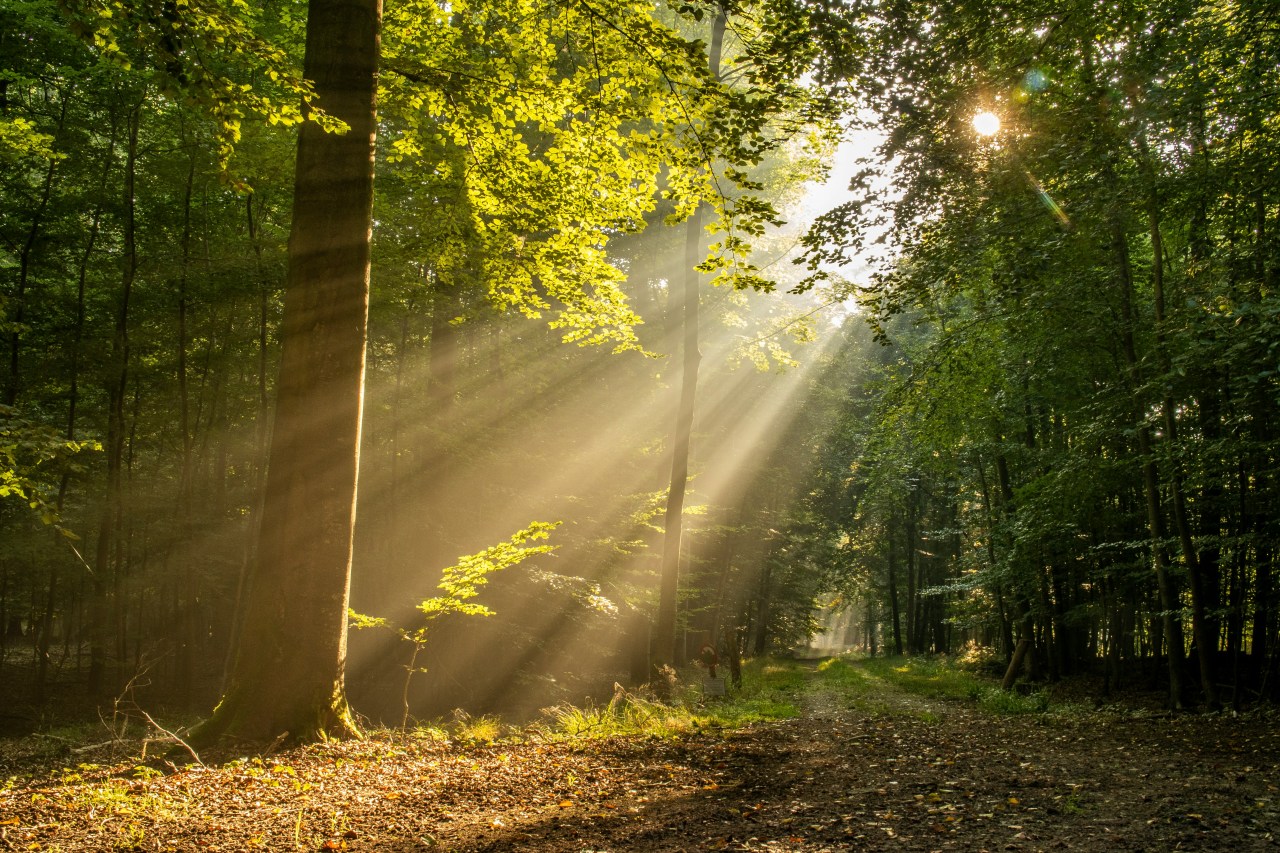 michael held 6fRHGqbp1 4 unsplash