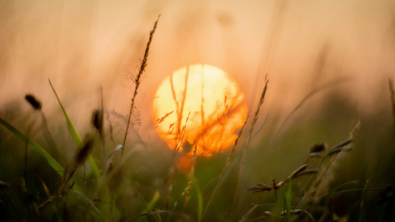 ainsley myles tBV0OhigrpA unsplash