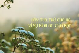 HÃY THA THỨ CHO HỌ VÌ SỰ BÌNH AN CỦA BẠN…