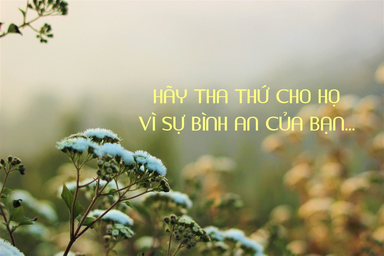 balagurubaran ramar sgPTADnE jY unsplash