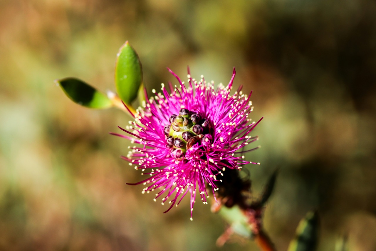 megan clark c3Bxwc sT9Q unsplash
