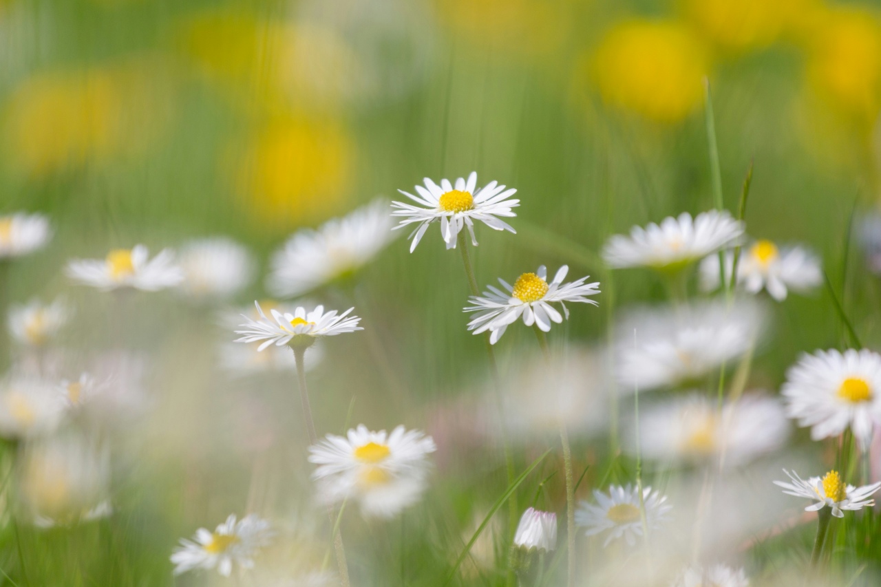 natalie kinnear Slox8jTkfvA unsplash