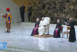 ĐTC Phanxicô: Mẹ Maria không sợ nguy hiểm hay phán xét, nhưng tiến về phía tha nhân