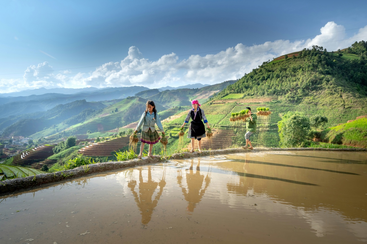 quang nguyen vinh aWL8r4 MLs unsplash