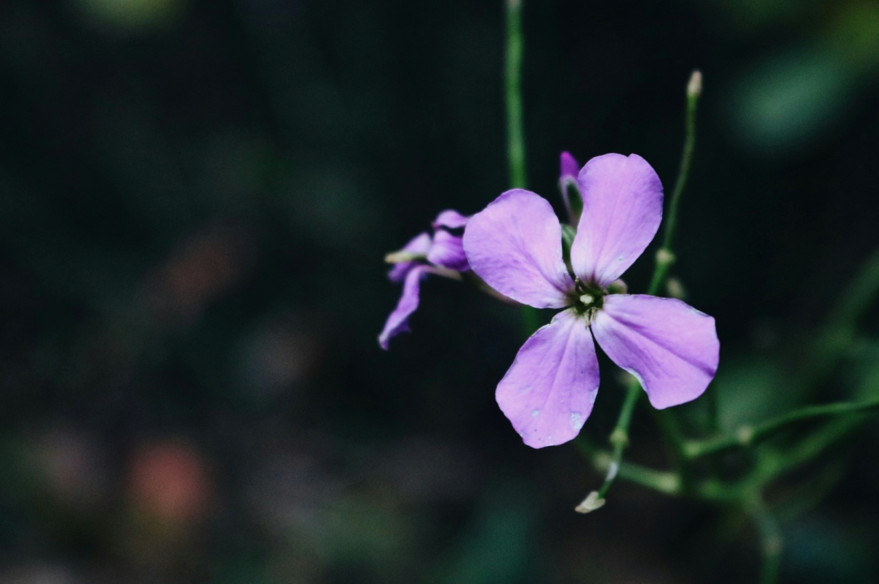 danny g 0iBY4HcL1Gk unsplash