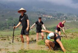 ĐỪNG BAO GIỜ LẤY TRẢI NGHIỆM CỦA NGƯỜI KHÁC LÀM KỲ VỌNG CỦA BẠN…