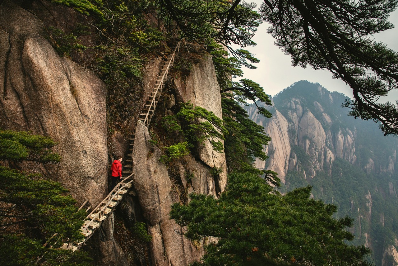 joshua earle UKBkp ubSws unsplash