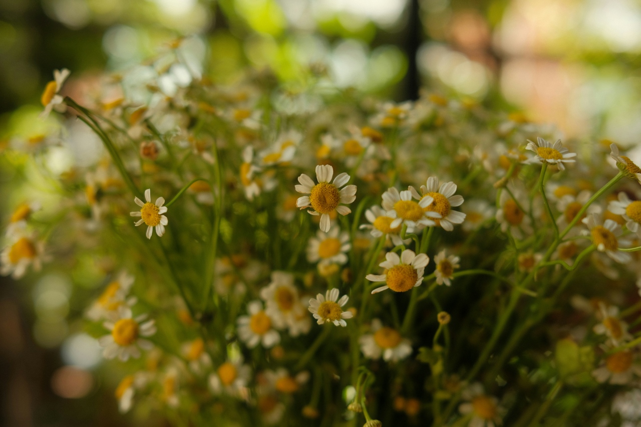 louis thai GZsjIzUzF8s unsplash