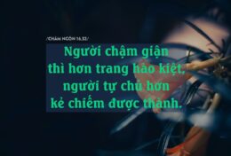 ĐỪNG BAO GIỜ ĐỂ CẢM XÚC LẤN ÁT LÝ TRÍ…
