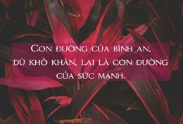 CHỌN RỜI ĐI HƠN LÀ TRANH CÃI…