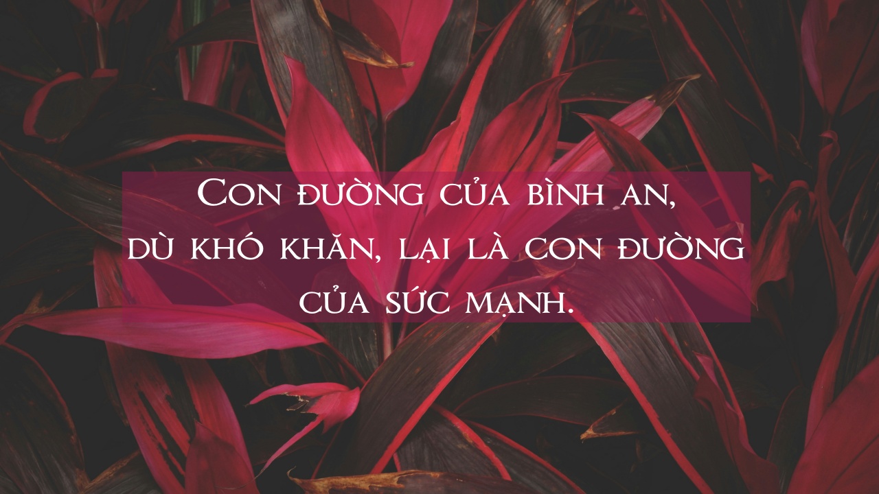 caitlyn peng hssy5G56dw0 unsplash