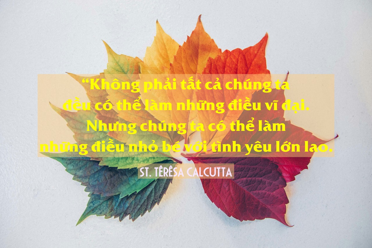 chris lawton c0rIh0nFTFU unsplash