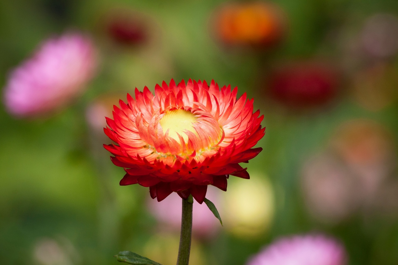 craig cooper bO39yvJ4Fxo unsplash 2