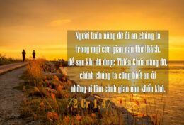 THIÊN CHÚA KHÔNG LÃNG PHÍ NỖI ĐAU…