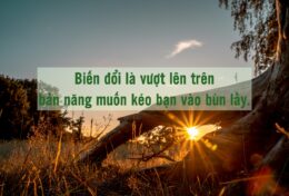 SỨC MẠNH VĨ ĐẠI NHẤT KHÔNG NẰM Ở SỰ TRẢ ĐŨA, MÀ LÀ SỰ BIẾN ĐỔI