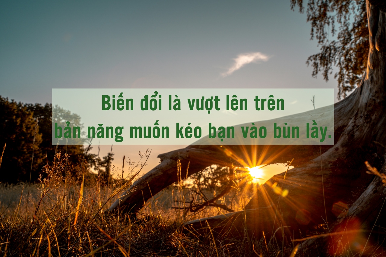 philipp deus riiIAGo9Kh4 unsplash