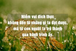 ĐỪNG ĐÁNH ĐỔI CUỘC ĐỜI CHỈ VÌ NHỮNG THỎA MÃN NGẮN HẠN…