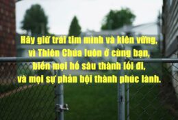 ĐÔI KHI, HÃY LO LẮNG VỀ NHỮNG NGƯỜI XUNG QUANH HƠN LÀ KẺ THÙ Ở NƠI XA…