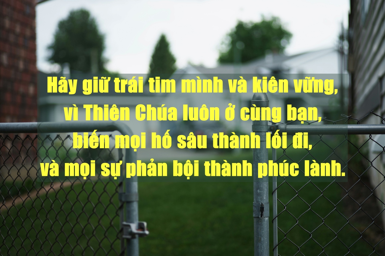 alvin engler dGhWrj6YhQE unsplash