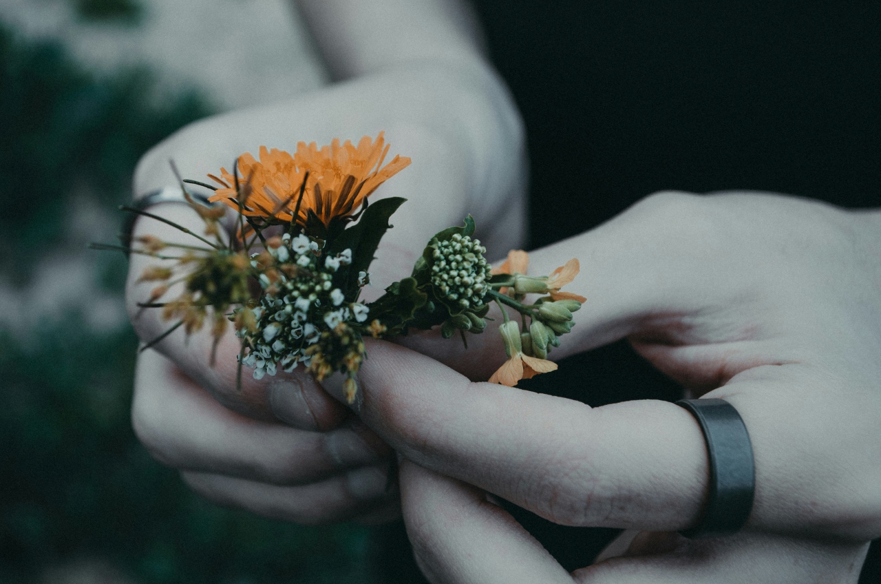 artur zhadan Rl BEf1YFPg unsplash