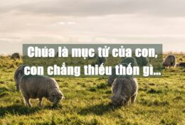 NẾU BẠN KHÔNG NƯƠNG TỰA VÀO NHỮNG LỜI HỨA CỦA CHÚA, BẠN SẼ BỊ CẢM XÚC CHI PHỐI…