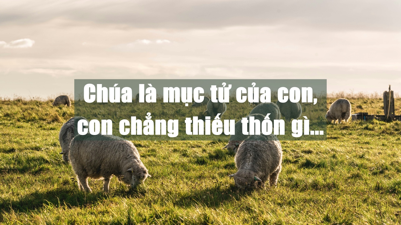 ekkanat sartsoongnern XWXPYCxuYH0 unsplash