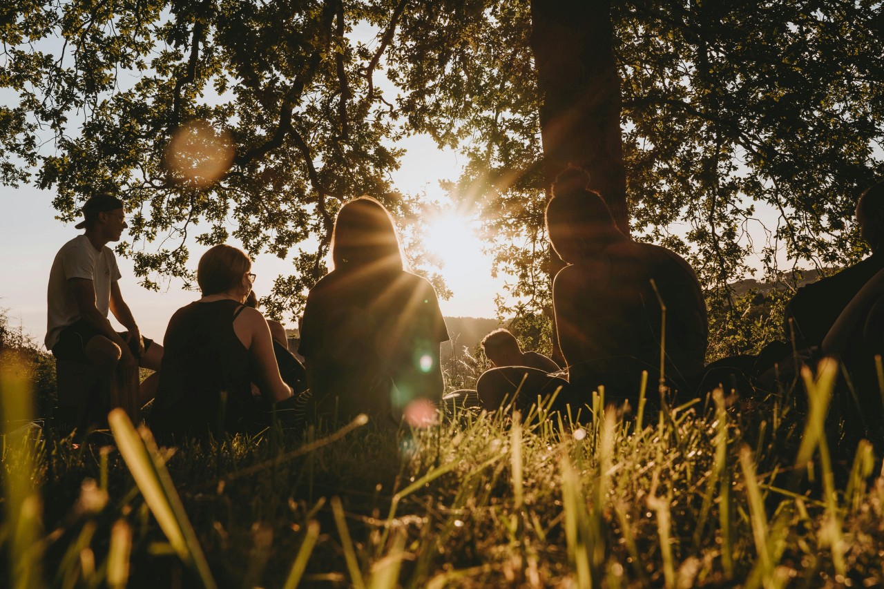 hanxnes ublBd x YBE unsplash