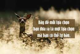 ĐỪNG ĐỂ NGƯỜI KHÁC GÂY ÁP LỰC TRÊN BẠN BẰNG NHỮNG LỜI NÓI…