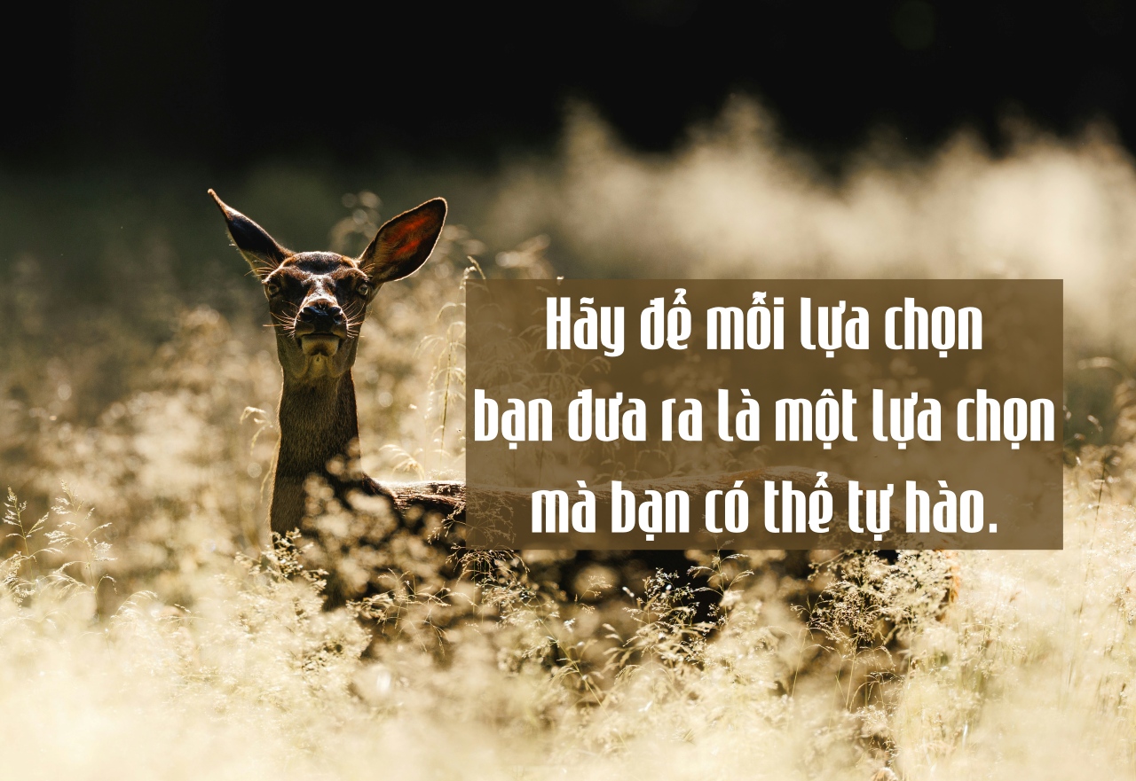 heino eisner Hl341LE3nrg unsplash