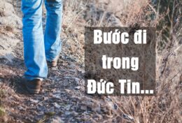 CHO ĐẾN KHI BẠN HỌC ĐƯỢC CÁCH BƯỚC ĐI TRONG ĐỨC TIN, NHỮNG GÌ BẠN NHÌN THẤY SẼ LUÔN LÀM LAY ĐỘNG ĐỨC TIN CỦA BẠN…