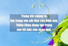 ĐỪNG CHỈ VÌ NHỮNG GÌ BẠN THẤY TRƯỚC MẮT MÀ LÃNG QUÊN ĐI NHỮNG GÌ THIÊN CHÚA ĐÃ PHÁN HỨA…