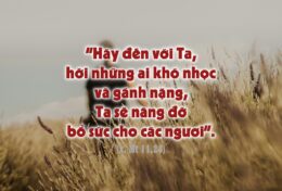CHẮC HẲN NHỮNG CHUYỆN NÀY RẤT VÔ NGHĨA ĐỐI VỚI BẠN…