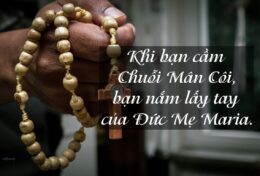 KHI HỌ TOAN TÍNH, HÃY CHẮC CHẮN RẰNG BẠN ĐANG LẦN CHUỖI MÂN CÔI…