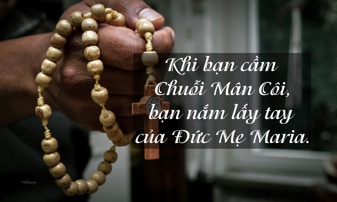 anuja tilj dAOMzCSWcwM unsplash