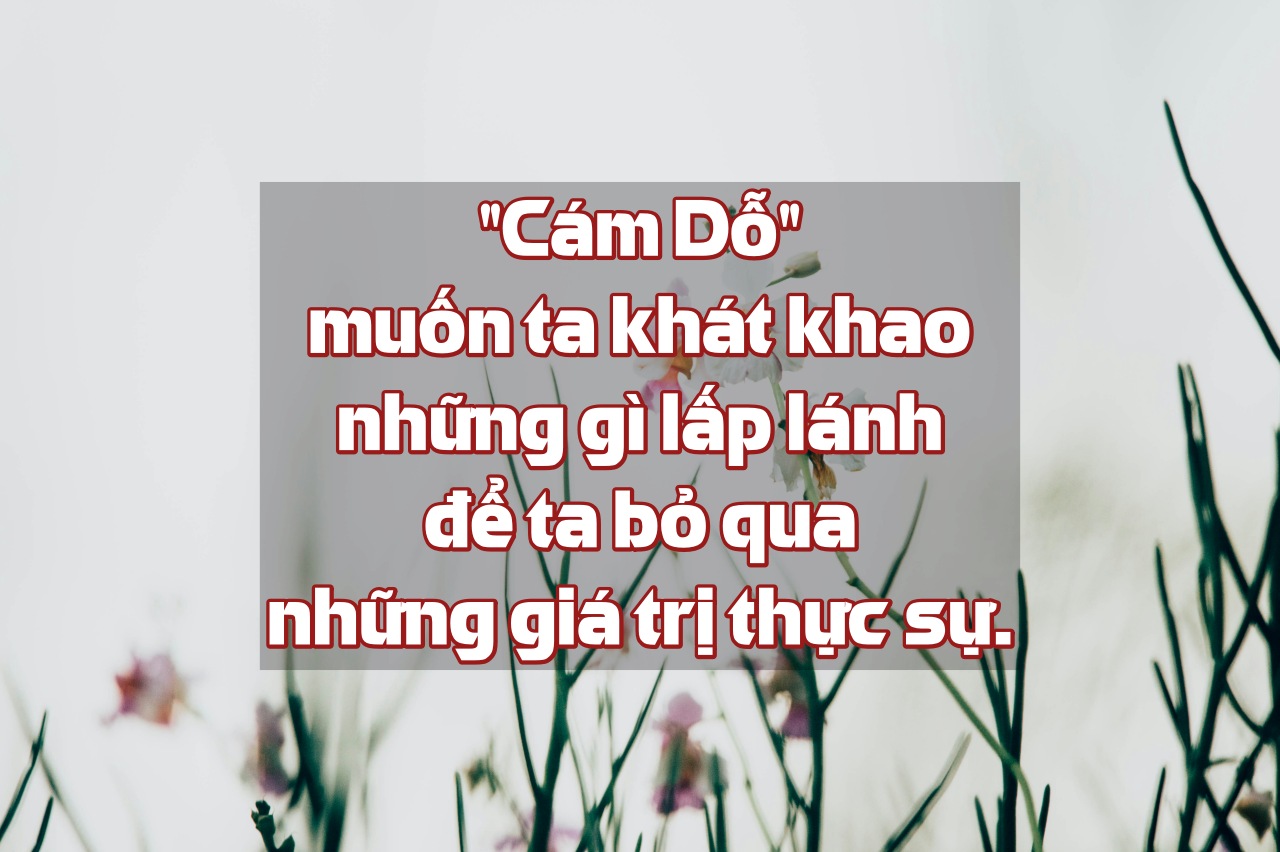 chuttersnap 8Zb I1t5b2k unsplash