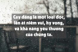 ĐỪNG ĐỂ LÒNG TRỞ NÊN CAY ĐẮNG…