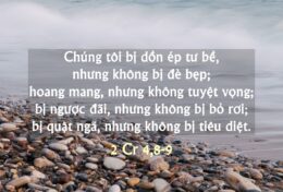 NHỮNG VẾT SẸO LÀ BẰNG CHỨNG CHO SỨC MẠNH CỦA BẠN; ĐỪNG BAO GIỜ BỎ CUỘC…