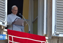 ĐTC LÊÔ XIV: TẠI BẤT CỨ ĐÂU, CHÚNG TA ĐỪNG BỎ LỠ CƠ HỘI NÀO ĐỂ YÊU THƯƠNG