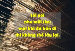 KẺ THÙ ĐẦU TIÊN CỦA TÔI CHÍNH LÀ LỜI NÓI CỦA MÌNH; TÔI CẦN BIẾT SỬ DỤNG NÓ MỘT CÁCH KHÔN NGOAN…