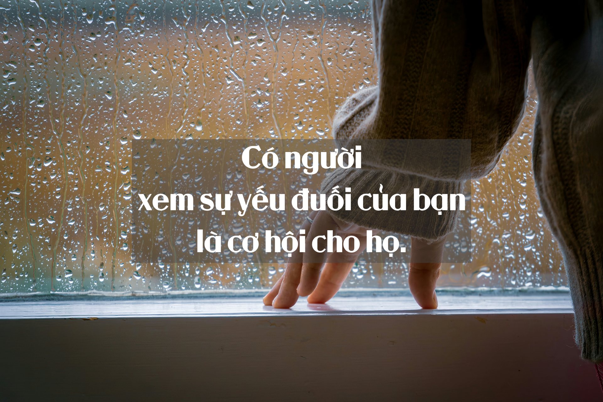 clay leconey Ozn48jofRAI unsplash