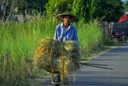 BẠN KHÔNG Ở ĐÂY CHỈ ĐỂ LẤP ĐẦY KHOẢNG TRỐNG; BẠN Ở ĐÂY ĐỂ TẠO ẢNH HƯỞNG…