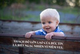 04. NIỀM VUI – Ngạc Nhiên Bởi Niềm Vui