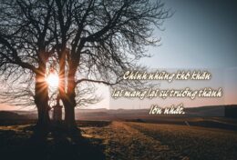 CUỘC SỐNG LÀ MỘT NGƯỜI THẦY…