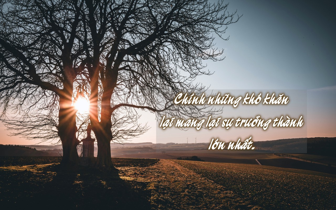 hans joachim kaiser GicG7ktp E4 unsplash