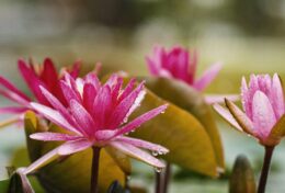 ĐIỀU GÌ SẼ CÒN LẠI KHI BẠN QUA ĐỜI?